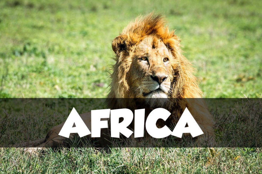Africa Travel Articles