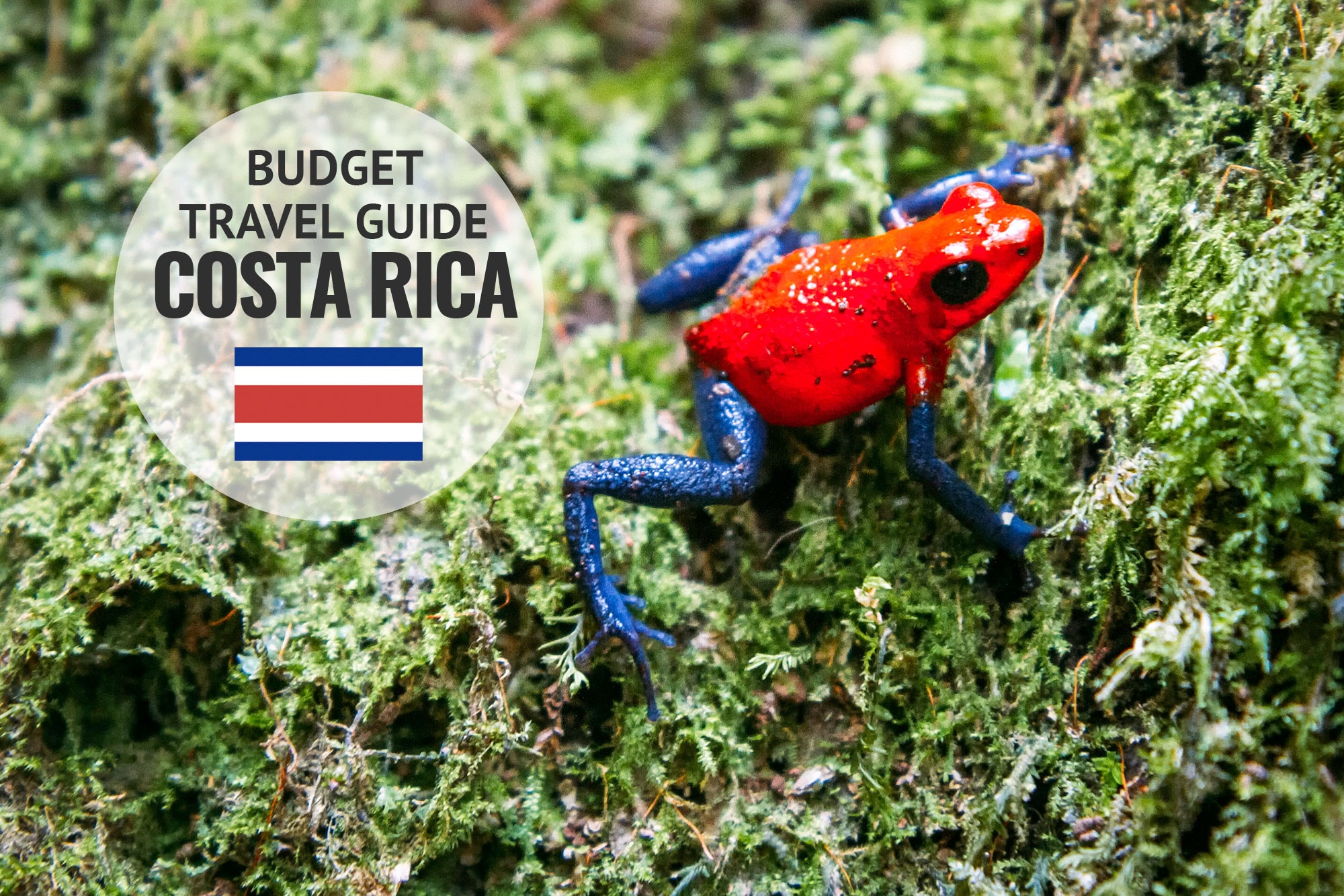 Costa Rica Travel Guide and Tips