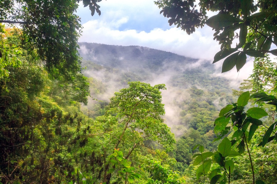 Darien Jungle Panama