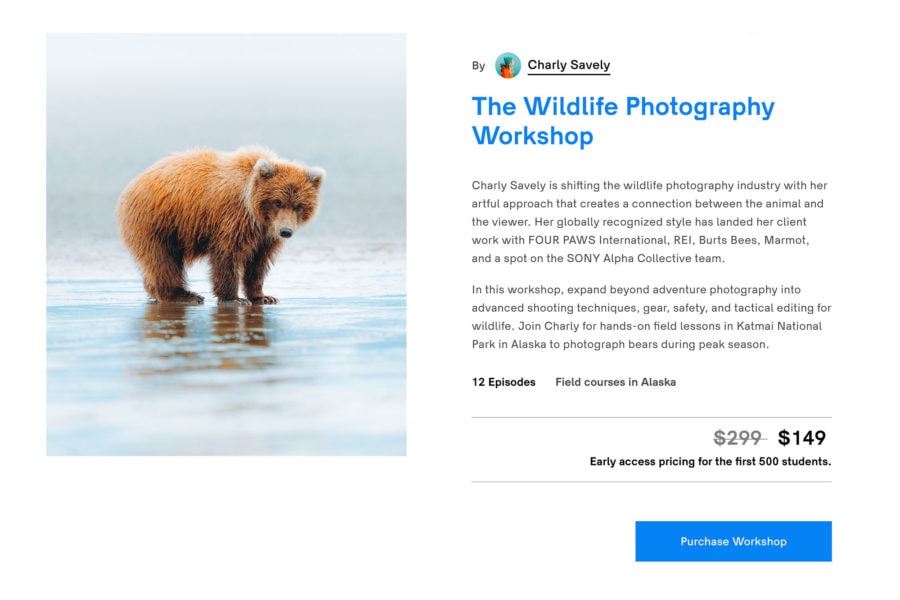 Wildlife Photography Course